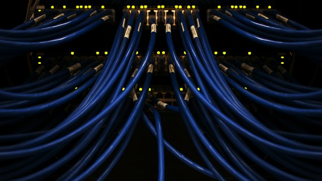 Cables de red azules conectados a un servidor